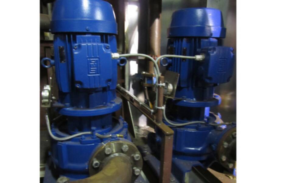 Azcue Pumps & Gefico in m/s Marietje Deborah